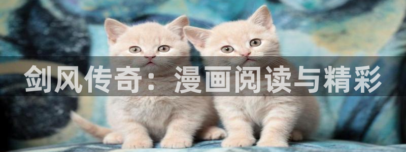 奇漫屋画官方-免费漫画下拉式在线看六漫画小酷：剑风传奇：漫画阅读与精彩