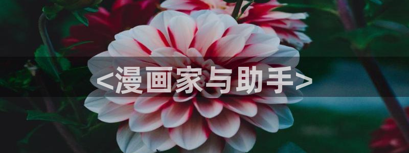 奇漫屋免费漫画网