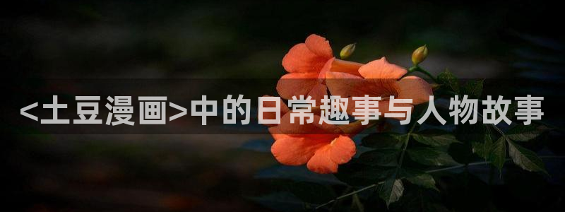 疯狂之旅漫画下拉式奇漫屋：<土豆漫画>中的日常趣事与人物故事